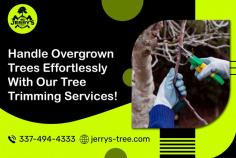 Get Most Effective Tree Trimming Services Today!

Foster the beauty and health of your trees with professional tree trimming in Lake Charles, Louisiana. Jerry’s Tree Service has expert arborists who provide meticulous trimming services that promote proper growth and maintain the structural integrity of your trees. Trust us to bring out the best in your landscape while ensuring safety and longevity.
