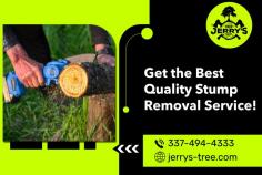 Grind Your Stubborn Stumps with Our Experts!

After a large tree is removed from your property, a pesky stump will remain until someone removes it as well. It is never advised to try and remove a stump yourself. Professional stump grinding is the most effective way to remove and minimize the hassle of managing your property. Get in touch with Jerry’s Tree Service!
