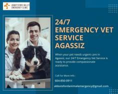 Dependable 24/7 Emergency Vet Service in Agassiz

At Abbotsford Vet Emergency, we provide reliable 24/7 emergency vet service in Agassiz. Our experienced veterinarians are available round-the-clock to offer immediate and compassionate care for your pets during critical situations. We prioritize your pet's well-being, ensuring they receive prompt and professional veterinary attention when it matters most. Trust our dedicated team to provide top-quality care for your furry friends.