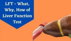 Liver Function Tests - How is liver function measured? What are the different tests done? This article will answer all of your questions on liver function tests. Read more here.