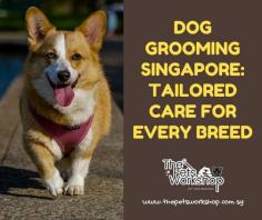 Professional dog grooming Singapore services have risen to prominence, providing much more than just cosmetic enhancements for your furry friends.

One of the key aspects of this care is the recognition that different dog breeds require different grooming durations to cater to their specific needs.

Understanding Grooming Duration for Different Dog Breeds:

1. Short-Haired Breeds: Dogs with short coats like Dachshunds or Beagles typically require less grooming time. A regular session can last anywhere from 30 minutes to an hour, focusing on brushing, nail trimming, and ear cleaning.

2. Medium-Haired Breeds: Breeds like Cocker Spaniels or Bulldogs with medium-length fur may need slightly longer grooming sessions, usually ranging from 1 to 2 hours. This includes bathing, brushing, and more extensive coat maintenance.

3. Long-Haired Breeds: Long-haired breeds such as Shih Tzus or Pomeranians necessitate the most extended grooming sessions.

These can range from 2 to 3 hours or even more, involving thorough brushing, dematting, and specialized styling.

Professional dog groomers in Singapore are well-versed in the specific needs of different breeds, ensuring that grooming durations are tailored to keep each dog comfortable and well-maintained. So, whether you have a short-haired, medium-haired, or long-haired companion, you can trust that grooming services in Singapore are prepared to provide the care your dog deserves.

Website : https://www.thepetsworkshop.com.sg/