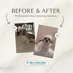 Dog Grooming Services in Bangalore: Dog Baths, Haircuts	

Book dog grooming services at home in bangalore today with Mr N Mrs Pet. The best offers in pet grooming, bathing, trimming, nail trimming, pet spa, ear cleaning and pet grooming in bangalore.

View Site: https://www.mrnmrspet.com/dog-grooming-in-bangalore

