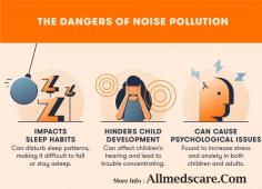 Effects of Noise Pollution
