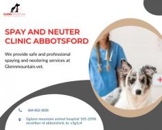 We are the most preferred Spay And Neuter Clinic Abbotsford

This clinic is an affordable spay and neuter clinic in Abbotsford, BC. They offer a variety of services for your pet, including vaccines, surgeries, nail trims, and more. All services are priced to be affordable for everyone. Spay And Neuter Clinic Abbotsford is dedicated to helping animals find their way into happy homes.