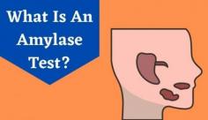 A serum amylase test is a type of lab test to measure the amount of amylase levels in your blood or urine. Schedule an appointment to get Amylase test price at Livlong now!
