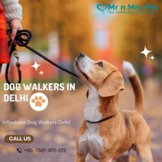 Are you looking for an expert dog walking service near you in Delhi? Mr. N Mrs. Pet has dog trainers with over 10 years of experience providing reliable and loving care to your beloved companion. For expert dog walking services visit our website and book your trainer.
visit site : https://www.mrnmrspet.com/dog-walking-in-delhi
