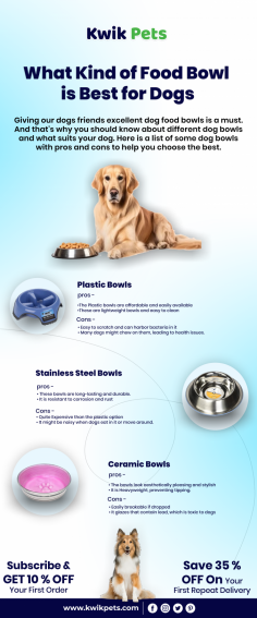 Giving our dogs friends excellent dog food bowls is a must. And that's why you should know about different dog bowls and what suits your dog. Here is a list of some dog bowls with pros and cons to help you choose the best. 
