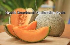 Know about the10 amazing health benefits of muskmelon seeds. Muskmelon or Kharbuja seeds beneficial for weight loss, good for heart, colon cleanser, helps grow hair and nail, fights cardiovascular disease.