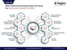  There is a need for quality software development services in order to innovate. The 10 proven ways of success that 2024 will present you with are given in our guide.