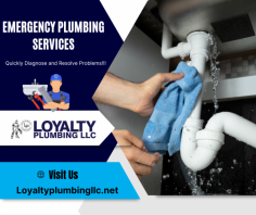 24/7 Emergency Plumbing Repair Services

Our technicians are fully trained and equipped to handle emergency plumbing issues. We will respond quickly to your request and resolve your plumbing problems. Send us an email at info@loyaltyplumbingllc.com for more details.
