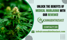 Make Informed Choices with Our Medical Marijuana Reviews!

Stay up-to-date with the latest medical marijuana reviews in Louisiana. Cannabinthusiast comprehensive analysis and unbiased insights provide valuable information on strains, effects, and dispensaries. Explore our reviews to make informed decisions and discover the best medical marijuana options for your specific needs in Louisiana.
