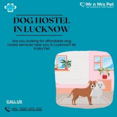 Are you looking for affordable dog boarding services near you in Lucknow? Mr N Mrs Pet specializes in dog boarding services and provides professional pet hostel in Lucknow. For dog boarding services visit our website and book your hostel.
Visit Site : https://www.mrnmrspet.com/dog-hostel-in-lucknow
