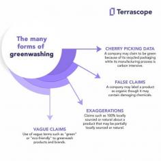 Demystifying Greenwashing | Terrascope
Examine the issue of greenwashing and its significance for large enterprises with Terrascope. Uncover the consequences of misrepresenting sustainability efforts at Terrascope.

