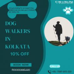 Are you looking for an expert dog walking service near you in Kolkata? Mr. N Mrs. Pet has dog trainers with over 10 years of experience providing reliable and loving care to your beloved companion. For expert dog walking services visit our website and book your trainer.
Visit Site : https://www.mrnmrspet.com/dog-walking-in-kolkata
