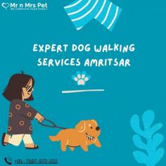 Are you looking for an expert dog walking service near you in Amritsar? Mr. N Mrs. Pet has dog trainers with over 10 years of experience providing reliable and loving care to your beloved companion. For expert dog walking services visit our website and book your trainer.
Visit Site : https://www.mrnmrspet.com/dog-walking-in-amritsar
