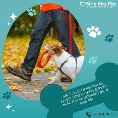 Are you looking for an expert dog walking service near you in Lucknow? Mr. N Mrs. Pet has dog trainers with over 10 years of experience providing reliable and loving care to your beloved companion. For expert dog walking services visit our website and book your trainer.
Visit Site : https://www.mrnmrspet.com/dog-walking-in-lucknow

