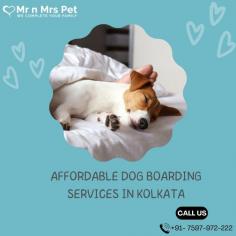 Are you looking for affordable dog boarding services near you in Kolkata? Mr N Mrs Pet specializes in dog boarding services and provides professional pet hostel in Kolkata. For dog boarding services visit our website and book your hostel.
Visit Site : https://www.mrnmrspet.com/dog-hostel-in-kolkata
