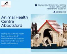 Animal Health Centre Abbotsford ensures your pet's health

Glenn Mountain Animal Health Centre Abbotsford ensures the health and wellness of your pets at all times. We are a Vet Hospital Abbotsford providing the kind of love and care animals deserve while being treated. Our services include consultations, exams, preventive care, vaccinations, and more.