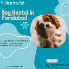Are you looking for affordable dog boarding services near you in Faridabad? Mr N Mrs Pet specializes in dog boarding services and provides professional pet hostel in Faridabad. For dog boarding services visit our website and book your hostel.
Visit Site : https://www.mrnmrspet.com/dog-hostel-in-faridabad
