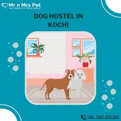 Are you looking for affordable dog boarding services near you in Kochi? Mr N Mrs Pet specializes in dog boarding services and provides professional pet hostel in Kochi. For dog boarding services visit our website and book your hostel.
Visit Site : https://www.mrnmrspet.com/dog-hostel-in-kochi
