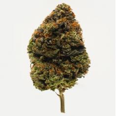 Discover the convenience of Hybrid Weed Delivery Vancouver with Vancouver.stoni.com. Get top-quality cannabis products delivered to your door with fast and secure shipping. Enjoy the best of both worlds with our Hybrid Delivery Service.

Visit Us : https://vancouver.stoni.com/