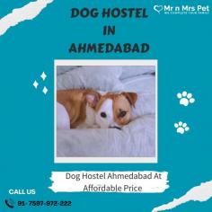 Are you looking for affordable dog boarding services near you in Ahmedabad? Mr N Mrs Pet specializes in dog boarding services and provides professional pet hostel in Ahmedabad. For dog boarding services visit our website and book your hostel.
Visit Site : https://www.mrnmrspet.com/dog-hostel-in-ahmedabad
