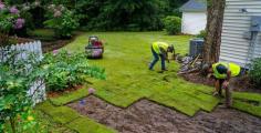 Our sod installation Phoenix experts have years of experience in the cultivation of gorgeous, healthy lawns for our clients. Our experts install strips of pre-grown grass on uncovered and treated soil during sodding. The Phoenix sod sets up within 2-3 weeks and produces a lush green lawn immediately. This grass is cultivated by our experienced farmers and harvested on farms throughout Arizona. Look no further than CGL Landscaping for your sod installation in Phoenix.