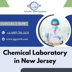 Princeton Global Syntheses - Chemical Laboratory in New Jersey | USA