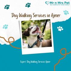 Are you looking for an expert dog walking service near you in Ajmer? Mr. N Mrs. Pet has dog trainers with over 10 years of experience providing reliable and loving care to your beloved companion. For expert dog walking services visit our website and book your trainer.
Visit Site : https://www.mrnmrspet.com/dog-walking-in-ajmer
