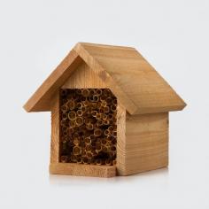 Bee-lifes us when we say we have lots of awesome products to support your pollination needs. From an array of bees to various  bee houses, we’ve got a quality solution for you. 