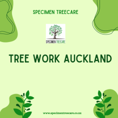 Mastering Tree Work: Essential Advice for Auckland Residents

The beauty of Auckland's beautiful surroundings rests not only in its skyline but also in the lush foliage that covers its streets and neighborhoods. Trees are more than simply a beautiful aspect of the landscape; they also play an important role in maintaining ecological balance and improving general quality of life. Mastering tree work in Auckland, on the other hand, needs more than simply a set of pruning shears and a ladder. It necessitates a thorough awareness of the local ecosystem as well as a dedication to appropriate tree care. This blog post delves into the vital tips for Auckland locals who want to learn the art of tree work.



Recognizing the Arboricultural Puzzle



Tree work in Auckland is not a simple undertaking; it is a complex puzzle that must be carefully assembled. Before you begin any tree-related activity, you must first grasp the unique arboricultural constraints offered by the local climate and terrain. The temperate marine climate of Auckland can influence tree growth patterns, and the city's steep landscape adds another degree of intricacy. So, before you grab a chainsaw or a pair of pruning shears, take the time to piece together the arboricultural puzzle that is Auckland's green canopy.



The Delicate Balance of Tree Pruning



The art of pruning is a crucial part of understanding tree work in Auckland. Pruning is more than just pruning the tree for aesthetic purposes; it is also about promoting the tree's health and longevity. When trimming a tree, strike a fine balance between eliminating dead or diseased branches and retaining the tree's natural form. Use correct pruning practices, such as making clean cuts and not removing nutritious foliage. This balance is especially important in Auckland, where trees play an important role in urban biodiversity.



Pruning for Urban Harmony on a Regular Basis



Pruning on a regular basis is like composing a symphony for urban harmony. By scheduling regular pruning procedures, you not only keep your trees healthy but also contribute to Auckland's general aesthetic appeal. It is a proactive approach to tree management that reduces possible hazards while also increasing the resilience of urban greenery. Remember that tree maintenance in Auckland is a year-round commitment to fostering a flourishing arboreal landscape.



Soil, Water, and TLC for Tree Health



Tree care in Auckland extends beyond trimming to creating the ideal habitat for trees to thrive. Keep a close eye on the soil quality around your trees to ensure it is well-drained and nutrient-rich. Adequate water supply is also essential, particularly during Auckland's dry spells. Implement a mulching program to keep soil hydrated and weeds at bay. Consider it tender loving care (TLC) for your trees, a long-term investment in their well-being.



Mulching as a Moisture Retention Wonder



Mulching emerges as a moisture marvel in the area of tree care Auckland. Applying an organic mulch layer at the base of your trees helps regulate soil temperature, preserve moisture, and inhibit weed growth. It's a simple yet effective strategy that can improve the general health and vitality of Auckland's trees.



To summarize, mastering tree work in Auckland is a complicated activity that necessitates a combination of knowledge, expertise, and perseverance. Residents may play an important role in conserving and increasing the city's arboreal beauty by understanding the unique challenges provided by Auckland's environment, embracing the art of delicate pruning, and fostering tree health through soil enrichment and proper watering. So, the next time you gaze upon Auckland's towering trees, remember that mastering tree work is more than simply a duty; it's a monument to your dedication to the city's green legacy.

For More Info:-https://lnk.bio/specimentreecare