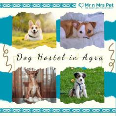 Are you looking for affordable dog boarding services near you in Agra? Mr N Mrs Pet specializes in dog boarding services and provides professional pet hostel in Agra. For dog boarding services visit our website and book your hostel.
Visit Site : https://www.mrnmrspet.com/dog-hostel-in-agra

