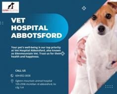 Vet Hospital Abbotsford provides love and care for animals

Glenn Mountain Animal Health Centre Abbotsford ensures the health and wellness of your pets at all times. We are a Vet Hospital Abbotsford providing the kind of love and care animals deserve while being treated. Our services include consultations, exams, preventive care, vaccinations, and more.