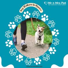 Are you looking for an expert dog walking service near you in Mysore? Mr. N Mrs. Pet has dog trainers with over 10 years of experience providing reliable and loving care to your beloved companion. For expert dog walking services visit our website and book your trainer.
Visit Site : https://www.mrnmrspet.com/dog-walking-in-mysore

