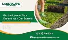 Get Your Yard Lush with Our Lawn Maintenance Company!

Keep your lawn in pristine condition with our top-rated lawn maintenance company in Raleigh. We provide professional lawn care services, including mowing, trimming, fertilization, and more. Trust us to enhance your curb appeal and create a lush, healthy outdoor space that you can be proud of. Schedule your service today!
