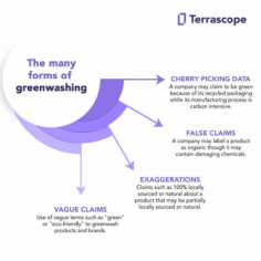 Breaking Down Greenwashing | Terrascope

Explore the critical issue of greenwashing & its impact on large enterprises with Terrascope. Uncover the far-reaching consequences of misrepresenting sustainability at Terrascope.

