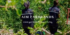 Aim Farmlands can be a solid investment with the potential for long-term gains and stability. It offers a tangible asset that produces essential goods. AIM Farmlands, Is Farmland a Good Investment as a platform, provides opportunities for investors to participate in this sector. However, thorough research and consideration of risks are essential before making investment decisions. To know more about our services visit our website today. 