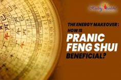 Experience the revitalizing effects of Pranic Feng Shui as it rejuvenates the energy of your living space, creating an atmosphere that supports overall well-being and success.

https://www.healingbuddha.in/the-energy-makeover-how-is-pranic-feng-shui-beneficial/