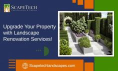 Get Advanced Landscape Renovation Services Today!

Transform your outdoor space with our landscape renovation services in Gilbert, AZ. From refreshing your garden to revamping your hardscapes, our expert team brings new life to your property. Enjoy an enhanced and beautiful landscape that reflects your style and creates a lasting impression. Achieve the yard of your dreams with our professional assistance. Get in touch with Scape Tech Landscaping & Design!
