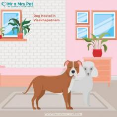 Are you looking for affordable dog boarding services near you in Visakhapatnam? Mr N Mrs Pet specializes in dog boarding services and provides professional pet hostel in Visakhapatnam. For dog boarding services visit our website and book your hostel.
Visit Site : https://www.mrnmrspet.com/dog-hostel-in-visakhapatnam
