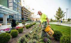 CGL Landscaping offers commercial landscaping Phoenix wide for your company with a lot of benefits. We will provide you with a stunning, well-maintained landscape that will be appealing and elegant. Our consultants will create a tailored schedule that fits your budget and you. Our staff will become acquainted with the commercial property, its specifications and understand possible solutions before it becomes a costly replacement.


https://creativegreenaz.com/commercial-landscaping-maintenance/

https://creativegreenaz.com/