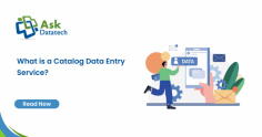 What is a Catalog Data Entry Service?