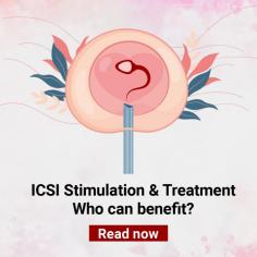 ICSI Treatment: Intracytoplasmic Sperm Injection for Addressing Male Infertility at Indira IVF

ICSI (Intracytoplasmic sperm injection): Understand the importance of ICSI treatment in infertility problem in male. Know how ICSI treatment for infertility makes a difference. For more information, visit: https://www.indiraivf.com/infertility-treatment/intracytoplasmic-sperm-injection-icsi-treatment