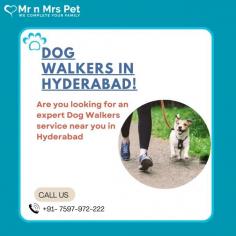 Dog Walker in Hyderabad, Telangana: Book a highly-trained dog walker & dog walking service in Hyderabad. We connect Hyderabad’s best dog walkers & pet sitters near you, who offers insured and secured pet walking services.
Visit Site : https://www.mrnmrspet.com/dog-walking-in-hyderabad
