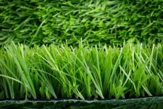 Looking to create a green appeal in your backyard? Buy Wholesale Artificial Grass Halifax!

Artificial grass is far more durable than natural grass. If you want absolutely lovely garden that takes significantly less maintenance than the real thing, artificial grass is the answer. If you want to buy Wholesale Artificial Grass Halifax, check out Artificial Grass Wholesale, they have the most high-quality and affordable products that’ll surely fit your requirements.