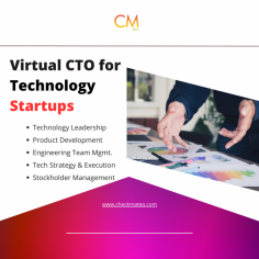 Build effective tech strategy to gain new heights with our On-Demand CTO Services crafted for early age startups.  Visit us for more information. 
https://www.checkmateq.com/virtual-cto-services