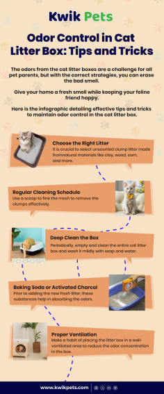 The odors from the cat litter boxes are a challenge for all pet parents, but with the correct strategies, you can erase the bad smell. 

Give your home a fresh smell while keeping your feline friend happy. 

Here is the infographic detailing effective tips and tricks to maintain odor control in the cat litter box. 