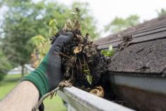 Choose Star Gutter Cleaning for top-notch gutter services in the USA! Our experienced team is here to make sure your gutters are clean and worry-free. We take pride in our attention to detail, quick service, and commitment to your satisfaction.

https://starguttercleaning.com/