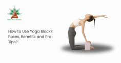 Discover the transformative power of yoga blocks with this comprehensive guide. Explore various poses, unlock their benefits, and gain pro tips to elevate your practice and enhance flexibility and stability.
https://www.indiayogaschool.com/blog/how-to-use-yoga-blocks-poses/