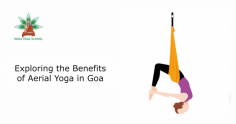 Discover the transformative allure of aerial yoga in the picturesque landscapes of Goa. Elevate your practice amidst nature's beauty, promoting strength, flexibility, and inner peace in this unique wellness journey.
https://www.indiayogaschool.com/blog/exploring-the-beneffits-of-aerial-yoga-in-goa/